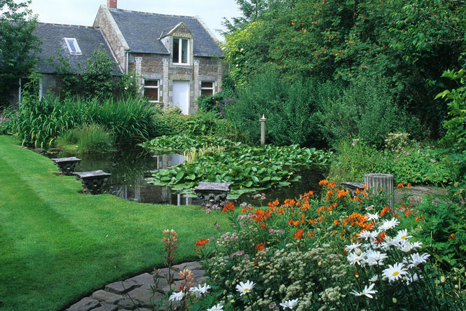 garden pond