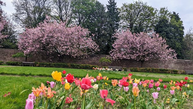 King's Park Walled Garden