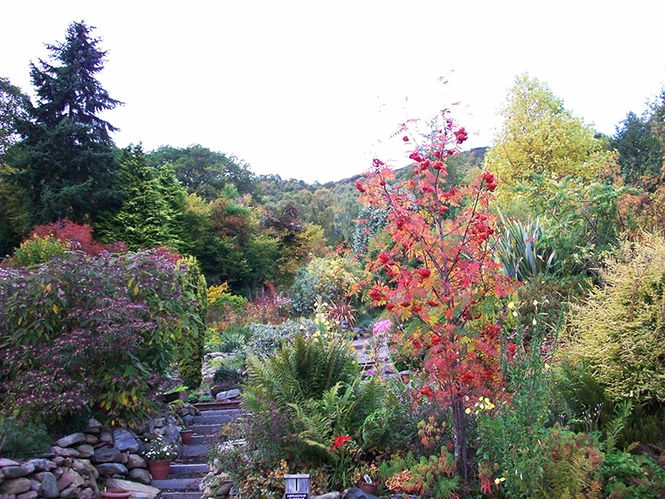 Abriachan Garden Nursery