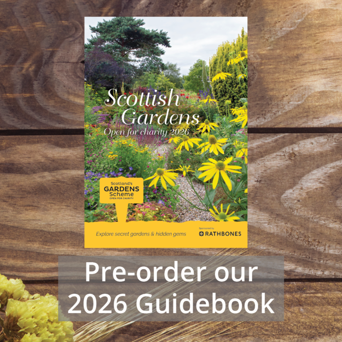 guidebook-preorder-01.png