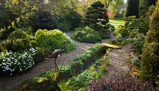 A tranquil space in the Redcroft garden