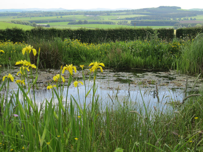 East Gordon Smiddy, Berwickshire