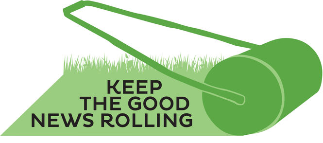 grass-roller-3.jpg grass-roller-3.jpg