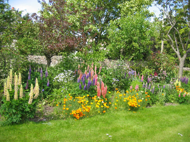Herbaceous borders at the Straiton Farmhouse in the summertime