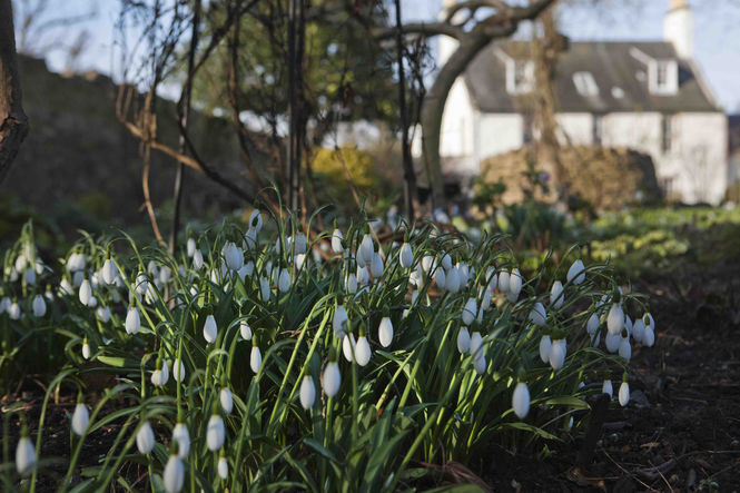 Shepherd House, East Lothian