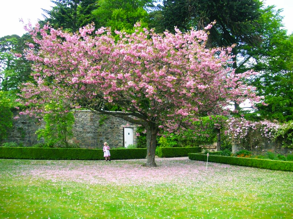 Inchmarlo Retirement Village Garden