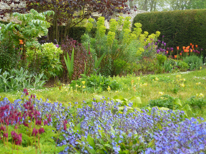 Spring time at Wormistoune House, Fife