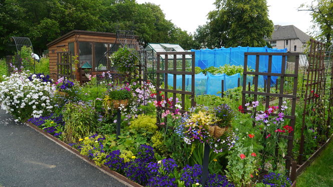 Viewpark Allotments and Gardens