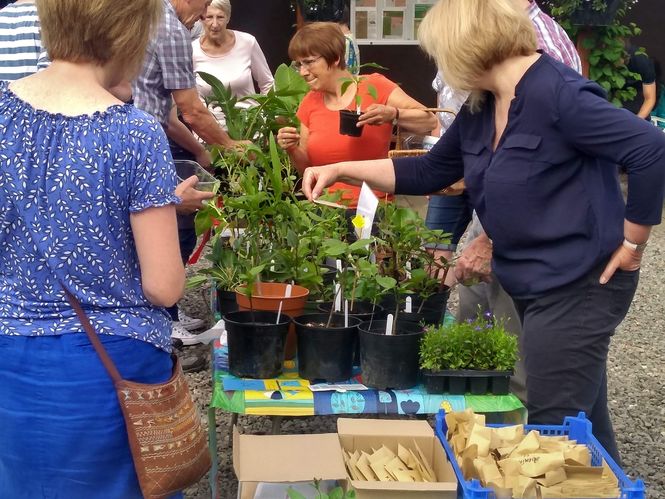 Plant Passports and Plant Sales