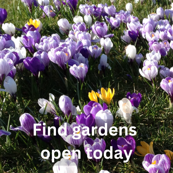 find-garden-open-today-1.png