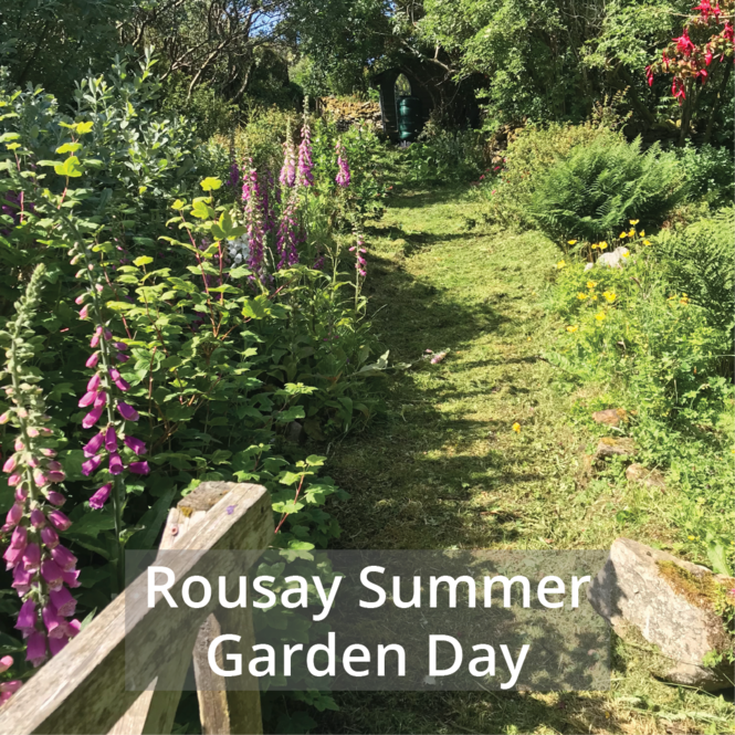 rousay-tile-homepage-01.png