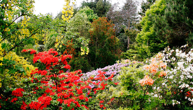 Glenwhan Gardens