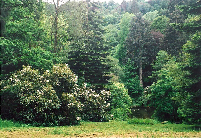 Glenericht House Arboretum