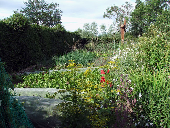 Organic gardens open in Autumn