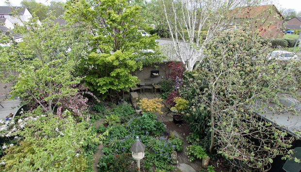 Through the Garden Gate in July